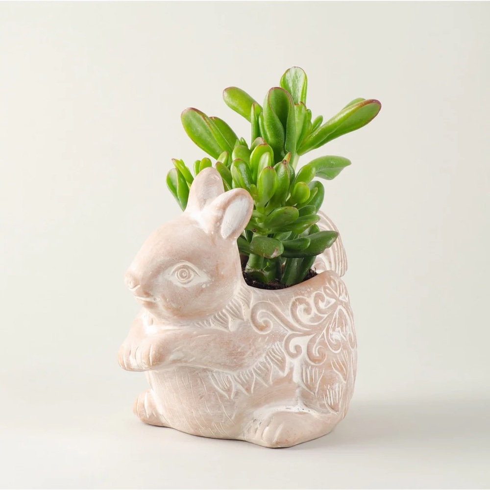 Handmade Terracotta Squirrel Planter Whitewashed Indoor Outdoor Plant